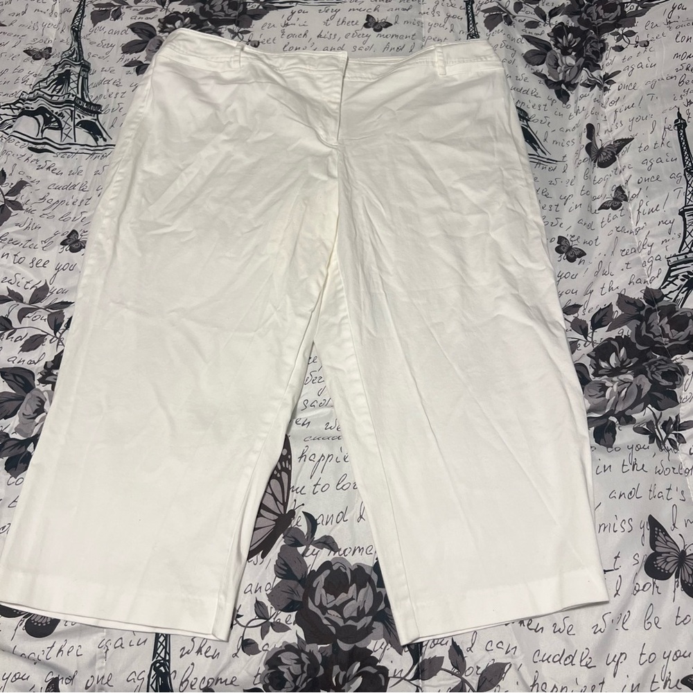 Women’s dress pants 20W